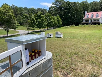 Free Range Bees, LLC - Raw honey, Taylorsville, Georgia