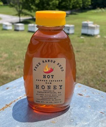 Free Range Bees, LLC - Raw honey, Taylorsville, Georgia