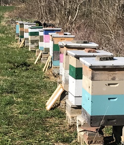 PA-central Bees-N-Trees Farm