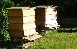 Graveney honey in Kent, beehive