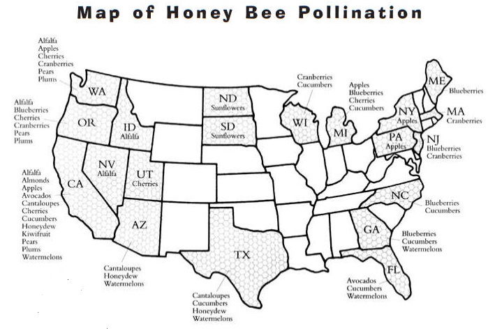 Honey Bee Pollination Map